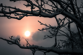 Fog dissipates / ***