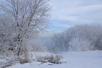 frosty watercolor / ***