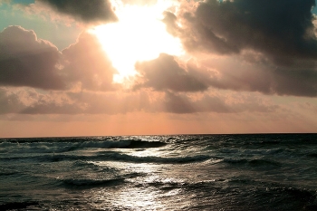 Ocean / ***