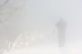 Hedgehog in the Fog / ***