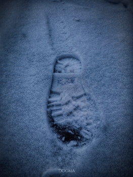 Trail / ***