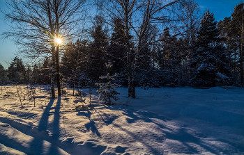 dawns / ***