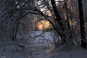 One evening / ***