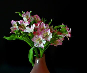 Winter bouquet / ***