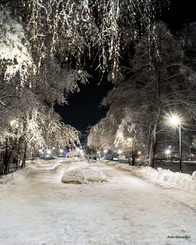 An evening walk / ***