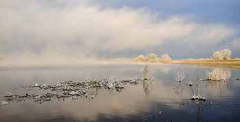 Morning fog. / ***