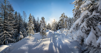 Winter panorama / ***