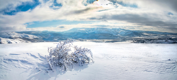 Winter panorama / ***