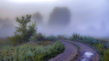 road in the fog / ***