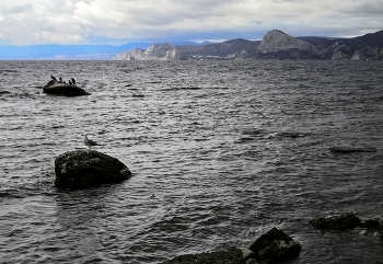 Black Sea. / ***