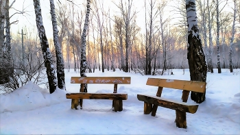 Winter evening / ***