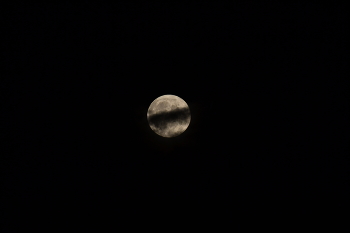 moon / ***