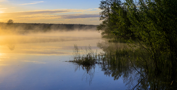 Morning fog. / ***