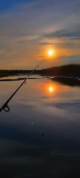 Evening fishing / ***