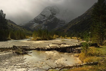 Morning in the mountains / ***