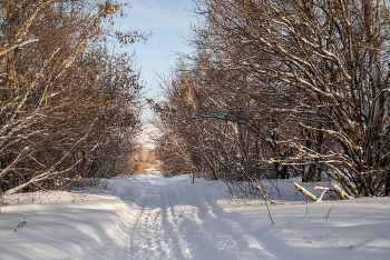 Winter road / ***