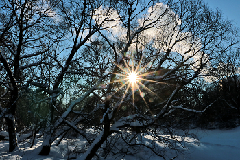 Frost and sun - a wonderful day! / ***