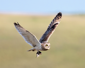 September morning / ***