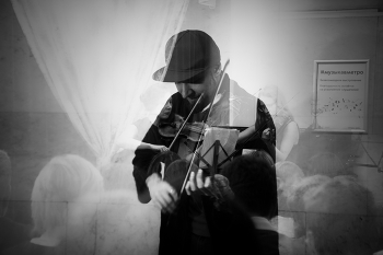 First violin / ...