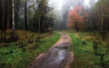 autumn motive / ***