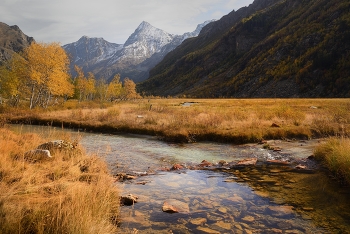 Mountain stream / ***