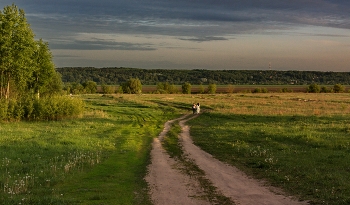 near Moscow evening / ***