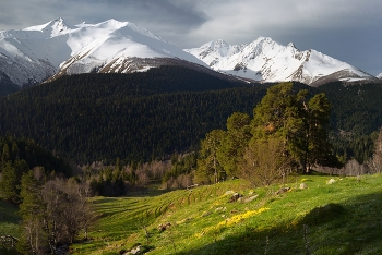 Sunset in the mountains / ***