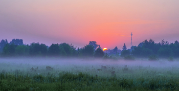 Summer morning. / ***