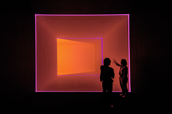 exhibit / ***