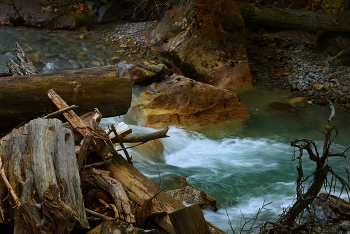 Mountain Stream / ***