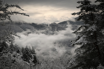 Racha Under Snow / ***