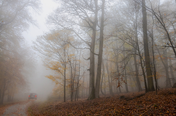 Autumn / ...