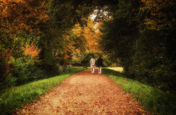 Walking in Autumn / ***