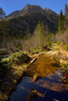 Sunset in the mountains / ***