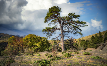 On Seven Winds / ***