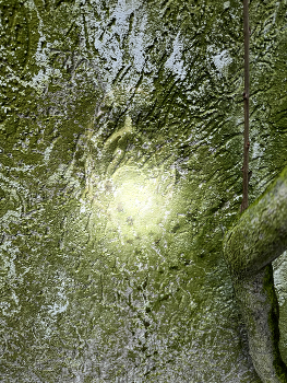 Man in the moss / Moss creature