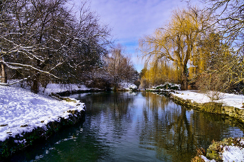Winter Pond / ***