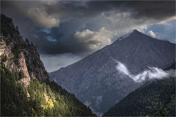Caucasus / ***