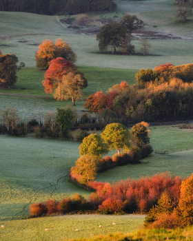 ...autumn slopes... / Loughcrew valley in autumn, Meath, Ireland