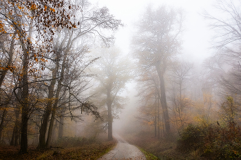 *Autumn sketch** / ***