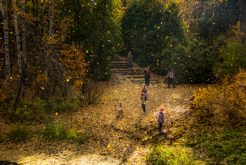 Leaf fall / ***