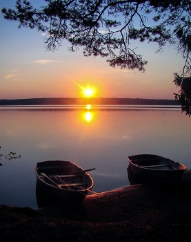SILENT NIGHT ... / ***