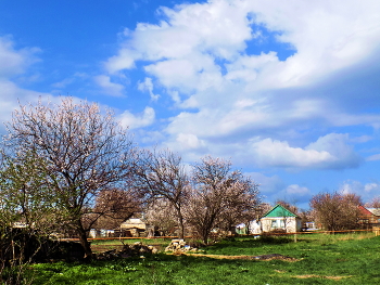 Flowering ... / ***