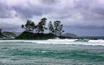 Storm / ***