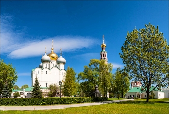 Novospassky Monastery / ***