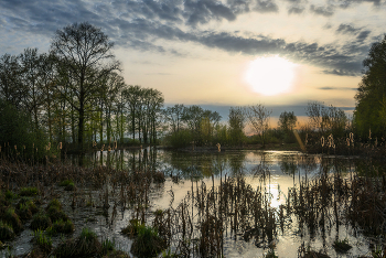 It was getting dark ... / ***