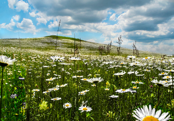 The month of May / ***