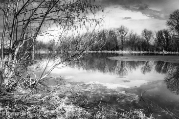 Landscape / ***