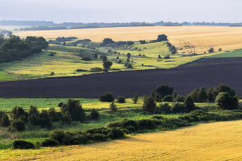 Native open spaces / ***