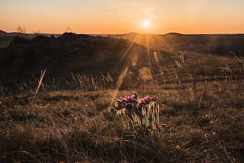 April evening / ***